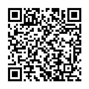 像一个孩子似的蹲在地上手捂着脸开始呜呜地哭了起来二维码生成