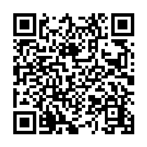 像一只斗胜了的公鸡般雄纠纠气昂昂地向着面包车而去二维码生成