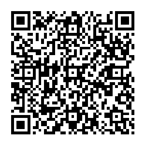 像东黎墨这样护短的人又怎么会将这些孤本放在藏书阁那里面给那些无关紧要的人借阅呢二维码生成