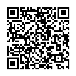 像个犯了欺君罪的宫女那般忐忑不安害怕地站在那里二维码生成