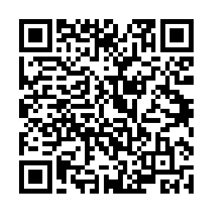 像今天这么大的动静之前都没有得到任何征兆的线索二维码生成