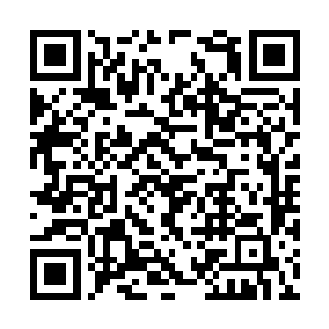 像他这么大的小雏鸟恐怕没有一个有他这么厉害吧二维码生成