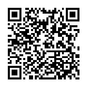 像你们这种人怎么会听从一个什么狗屁大少的话二维码生成