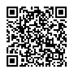 像你这样用两条腿走路的人类还只是半智慧生物二维码生成