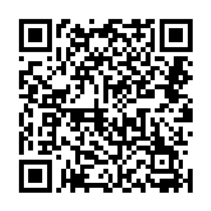 像克里克那样能跟人到停车场干架的人毕竟是少数中的少数二维码生成