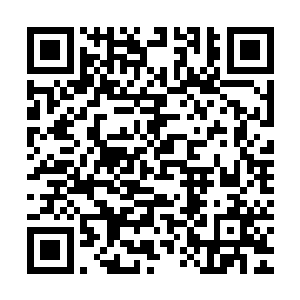 像其它巫师一样废寝忘食地实验之类的事情很少发生在雷林身上二维码生成