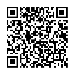 像前些日子不幸与族叔一起在血战中罹难的李佩二维码生成