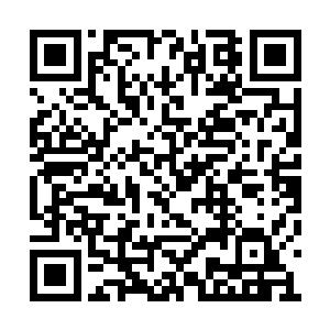 像劳伦斯在简历关几乎被淘汰掉的一个乡下姑娘二维码生成