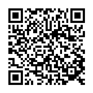 像她们这些已经将195厂视为生活中不可或缺的一部分的厂子弟们二维码生成