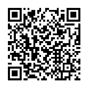 像她们这样从小就竭力培养注定要送入宫中的女子二维码生成