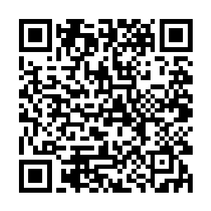 像她现在这个年龄按理说应该是跟亲娘最亲近的阶段二维码生成