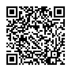 像安妮这样终日无所事事只会添乱的那就基本没有了二维码生成