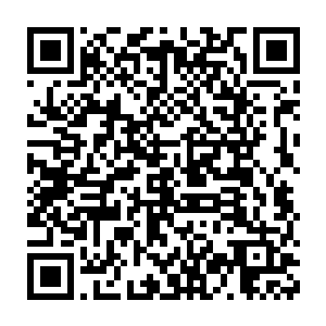 像平时一样她在处理青云和他那几个得力的助手昨天采回来的药材二维码生成