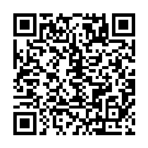像张诗义这般做派的人早死了几百次了――他回到望岳城里二维码生成