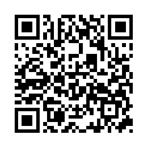 像往锅里下饺子一样的跪在了湿冷的地面上二维码生成