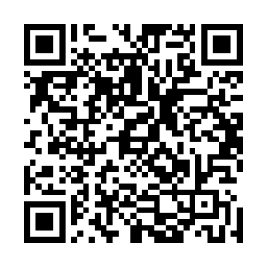 像我和科林这种没有根底的人加入到那些强大的佣兵团之中二维码生成