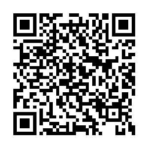 像我爷爷和叶伯父这样常年和士兵训练生活的人二维码生成