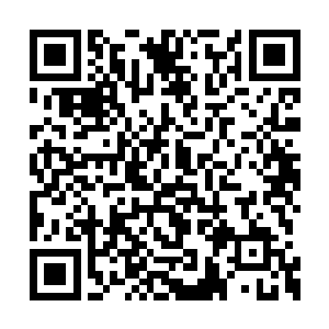 像我这样还没满十六岁就被勒令提前干活的废材二维码生成