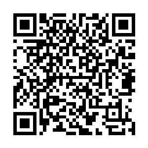 像所有经历太多坎坷和灾难之后还能相守在一起的人们一样二维码生成