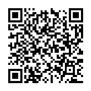 像拎着提线木偶一样操控着如蚕蛹一样的绿衣姑娘二维码生成