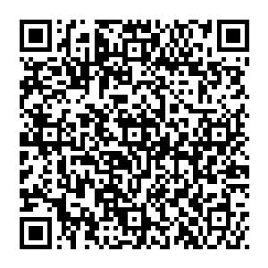 像断刃这种无论在任何环境中都能发挥出全部战力的异能者的确比她更适合代表楚城去参加六年一度的生存游戏二维码生成