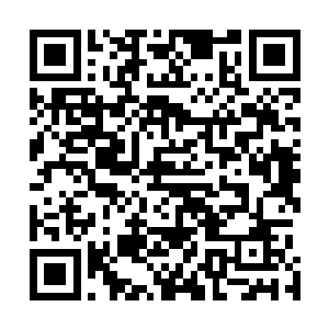 像是一个小考官不情愿让一个本不合格的学生60分的成绩二维码生成