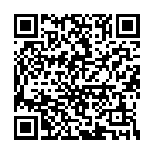 像是一个巨大的幕布将所有视线全部挡在了外面二维码生成