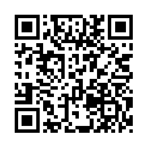 像是一只守在门口等待主人回家的小猫二维码生成