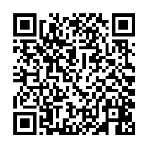 像是一只狐狸正在看着怀中已经差不多半熟了的兔子二维码生成