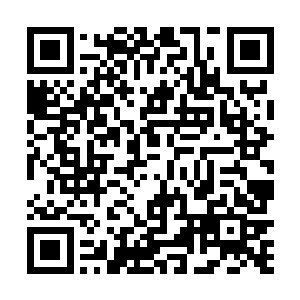 像是一对铜钩似的要把红衭那灵活诡异的身体给钩下来二维码生成