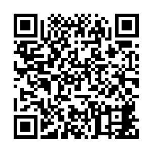 像是不明白为什么邵玄要将它给按在这里不让动二维码生成