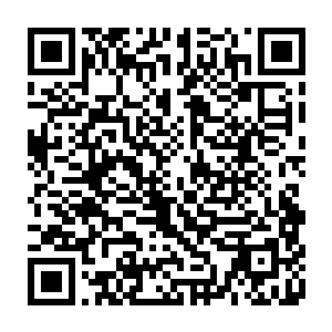 像是之前水娥和石奴给林封谨介绍的一些诸如灵体状态下没有要害之类的规则二维码生成