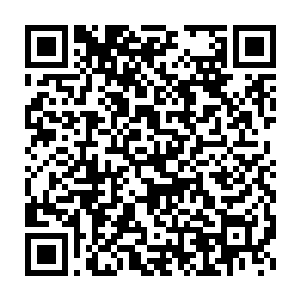 像是司徒波和张雄这种完全可以凭借自己的天赋维持实力提升的人二维码生成