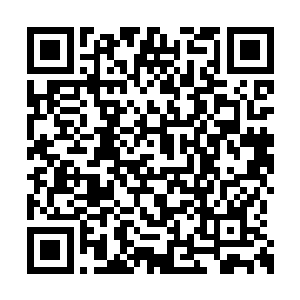 像是在思索还有多远才能达到它想去的地方……二维码生成