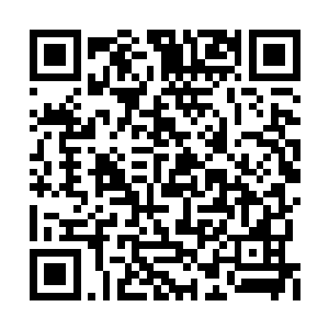 像是敲鼓一样不停用触须拍打其表面的海中妖兽二维码生成