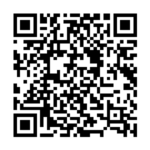 像是有什么东西紧紧的在下面拉出了这药草的根一样二维码生成