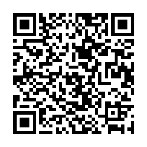 像是有什么人指使或者是哪个托儿在后面鼓动似的二维码生成