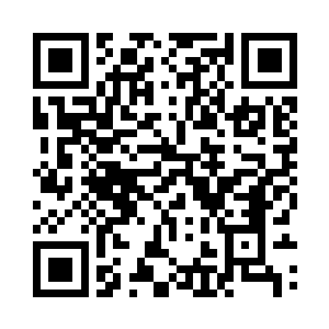 像是没有看到闻人照伸过来的手一样二维码生成