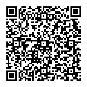 像是流行 更像是鬼魅 忽闪忽闪 顿时消失不见 而他锁定的地方 则是那金丹大能隐身的地方二维码生成