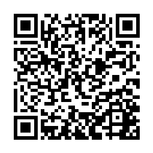 像是珍妮弗和萨尔维这样很少能拍到同框的绯闻情侣二维码生成