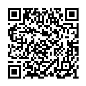 像是用尽了吃奶的力气才勉强跟的上叶秋的步伐二维码生成