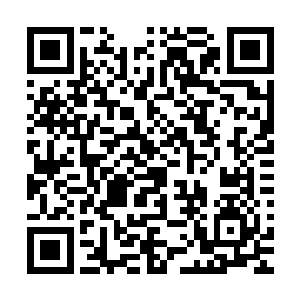 像是看待猎物一般看着眼前这个完全无力抵抗自己的柔弱女修二维码生成