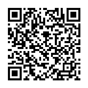 像是荒漠之中涌出的甘泉一样流遍全身的每一个细胞二维码生成