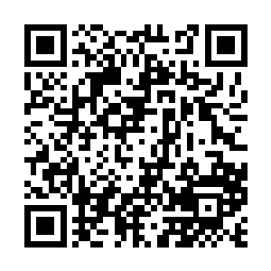 像是被走廊外建在浅浅小水塘旁的假山景色给吸引二维码生成