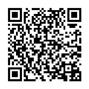 像普通人一样乘坐各种交通工具向着传承之地赶去二维码生成