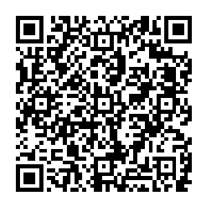 像有几个区县和市直机关里已经因为年龄到点健康问题违纪违规等出现了一些缺额二维码生成