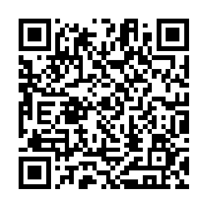 像极了一个不明白丈夫为何突然恶语相向的无辜妻子二维码生成