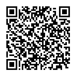 像沈凡这样能够安稳的站在传承台上围观四周战斗的人还是比较少二维码生成