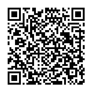 像现在这样半死不活或者之前面临死亡的状态都不是秦洛愿意看到的二维码生成