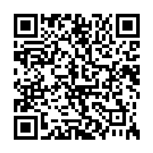 像白灵那种冷艳高贵的校花级美女岂会看得上他二维码生成